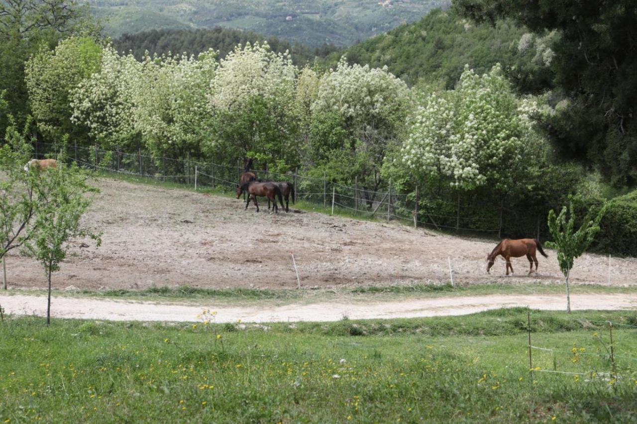 פוליניו Agriturismo San Martino מראה חיצוני תמונה