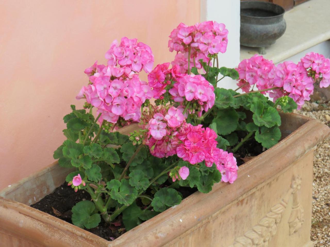 פוליניו Agriturismo San Martino מראה חיצוני תמונה